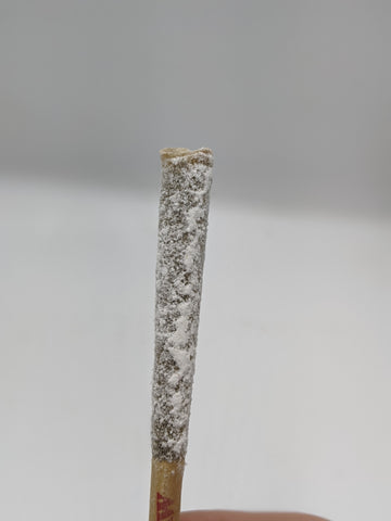 Delta 8 - Isolate dipped Pre-Roll